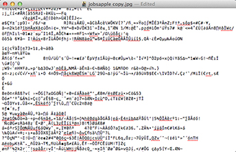 Nonsencial text shown in Apple's TextEdit software generated by opening a still image in TextEdit, causing it to be misinterpretted into text characters.
