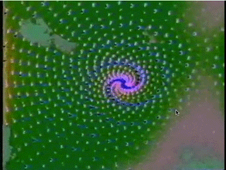 Footage of a computer generated spiral visual being processed by the Sandin Image Processor.